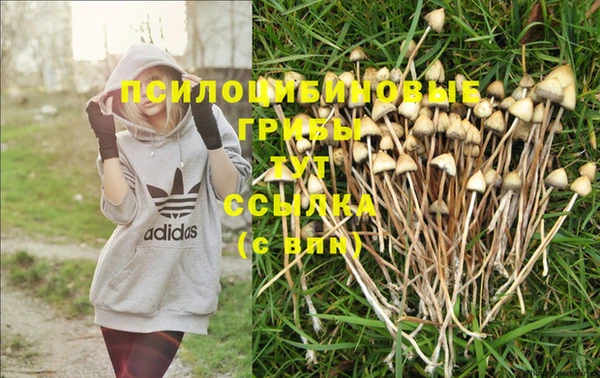 spice Армянск
