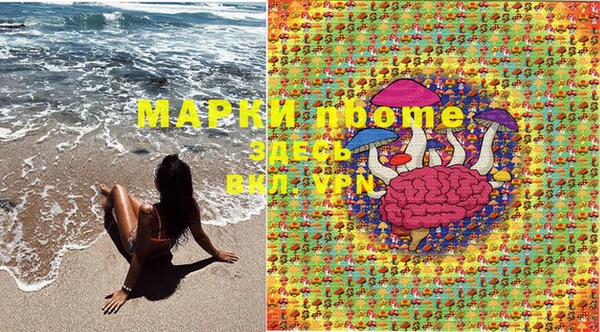 дурь Арсеньев