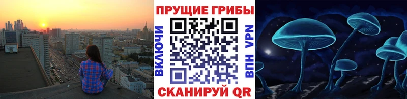 Галлюциногенные грибы Psilocybine cubensis цена наркотик Снежинск